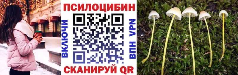 Псилоцибиновые грибы Cubensis  где купить наркотик  blacksprut как зайти  Камышлов 