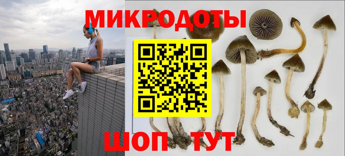 Псилоцибиновые грибы прущие грибы Камышлов