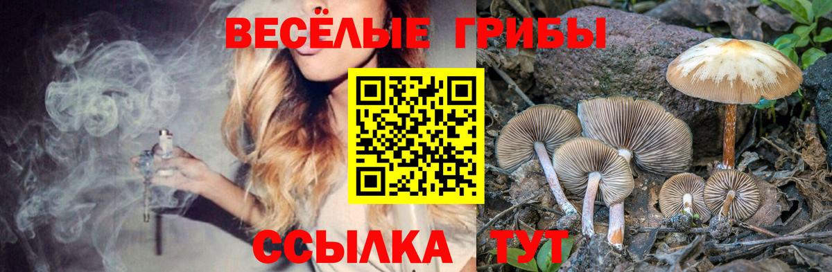 наркота  Вход с VPN  Камышлов  Псилоцибиновые грибы Magic Shrooms 